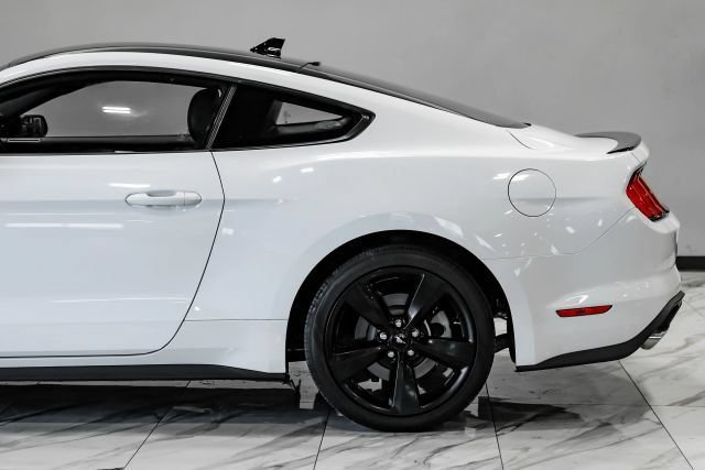 Used 2023 Ford Mustang Premium w/ Mustang Nite Pony Package RWD image 15