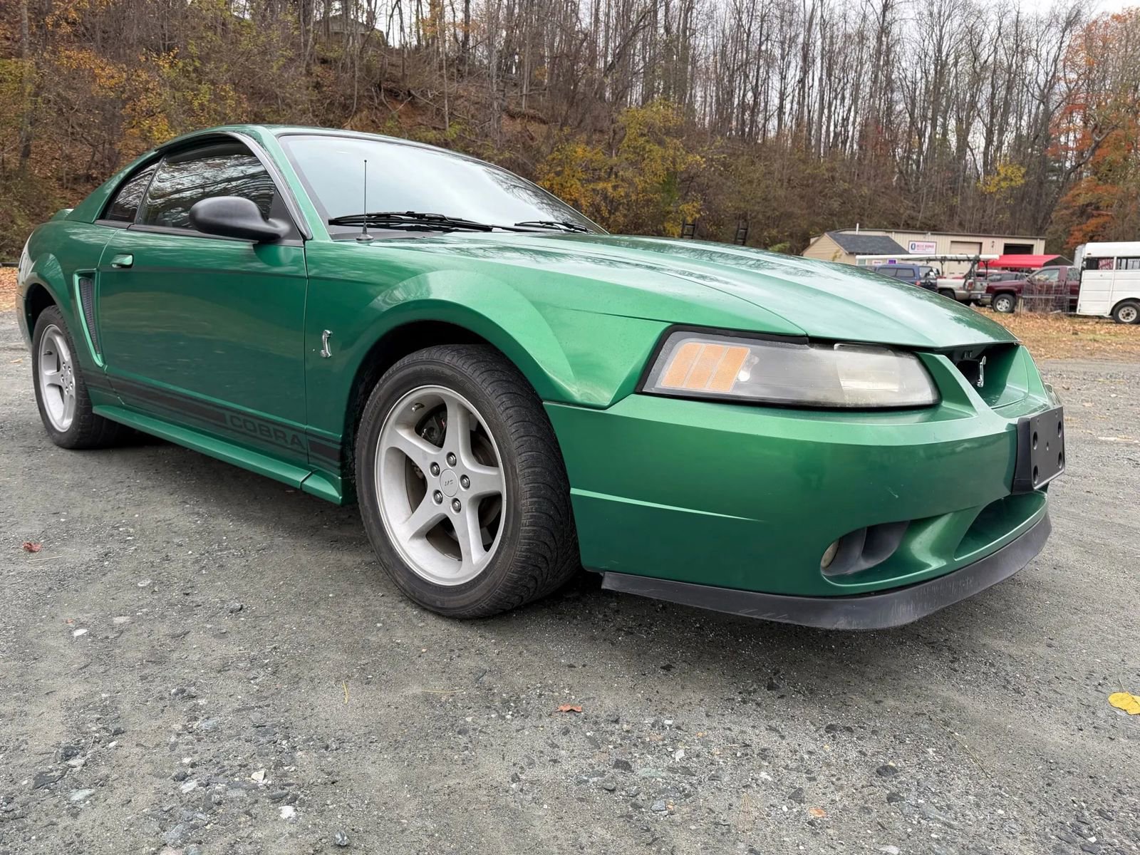 Used 1999 Ford Mustang Cobra image 2