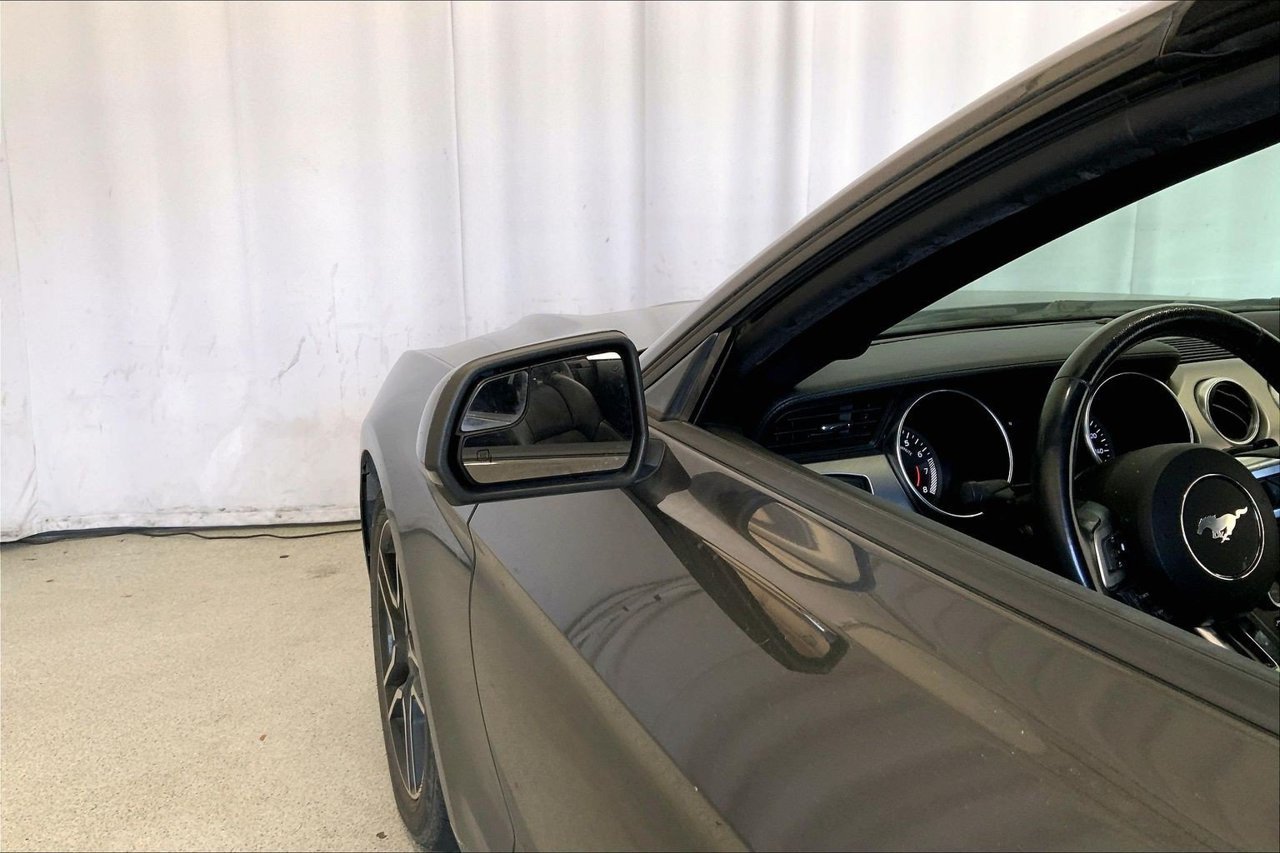 Used 2019 Ford Mustang Premium RWD image 10