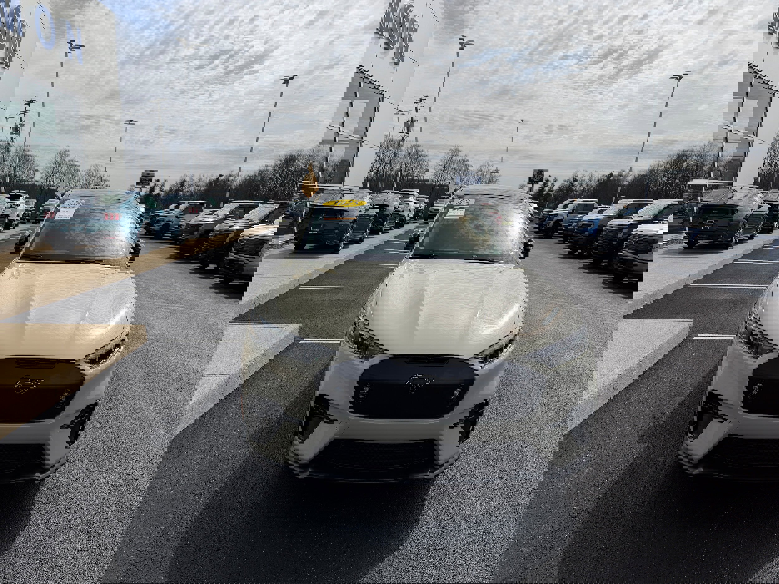 Certified 2025 Ford Mustang Mach-E GT AWD/4WD image 3