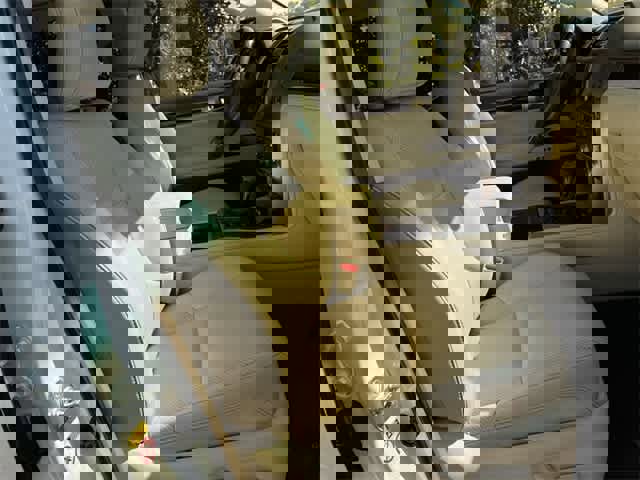 Used 2019 Lexus GX 460 Luxury image 12