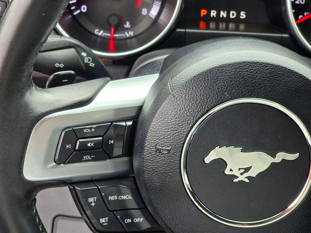 Used 2019 Ford Mustang GT RWD image 15