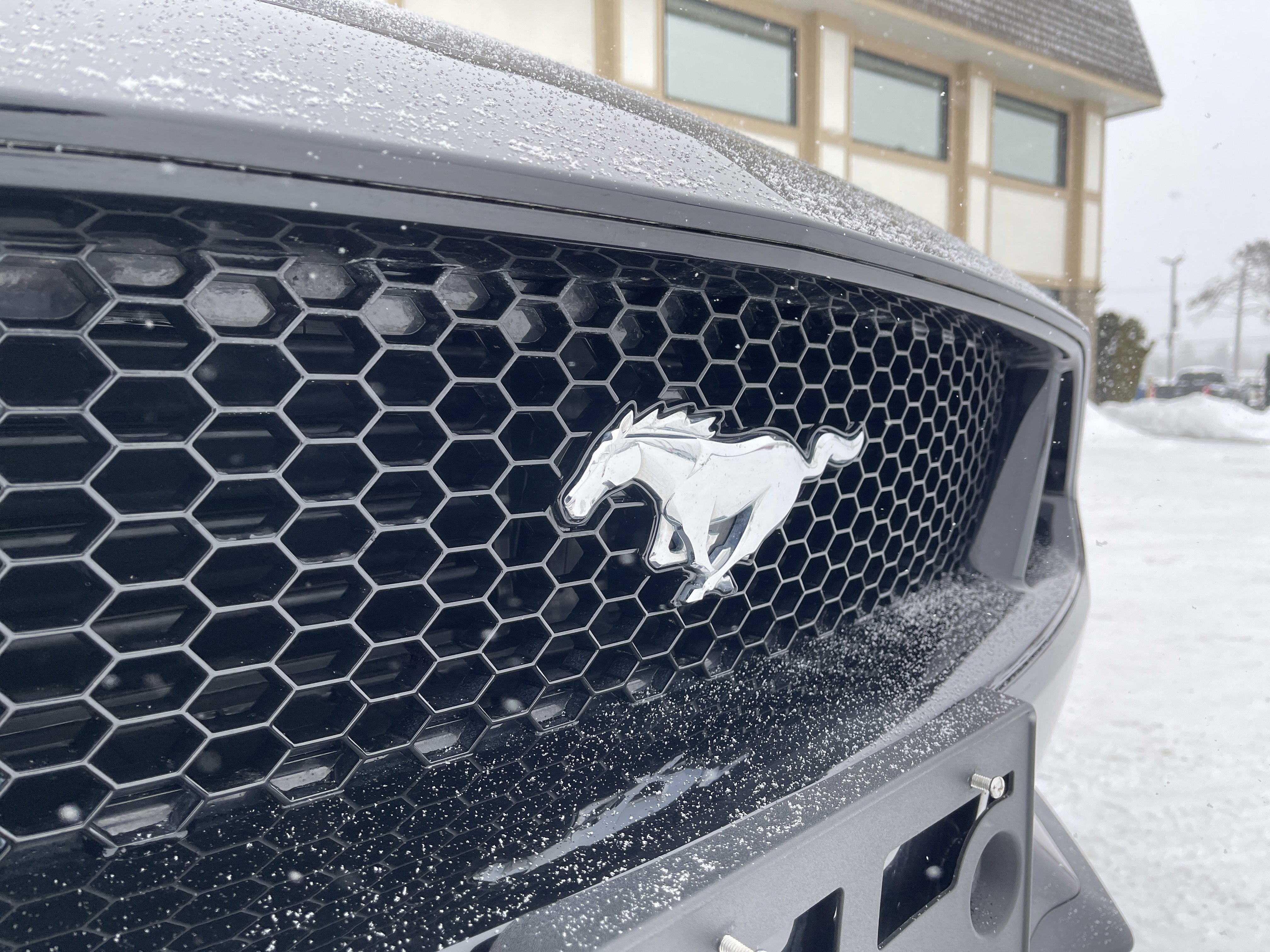 Certified 2020 Ford Mustang GT Premium image 25