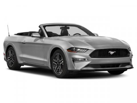 Used 2019 Ford Mustang Convertible w/ Ecoboost Performance Package image 6