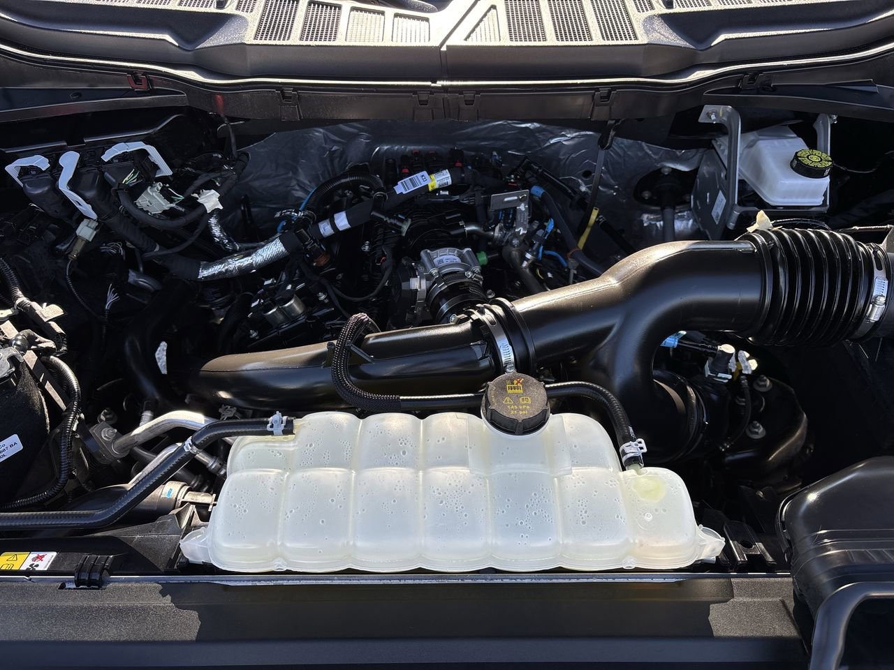 Used 2025 Ford F150 XLT w/ Equipment Group 301A Standard image 11