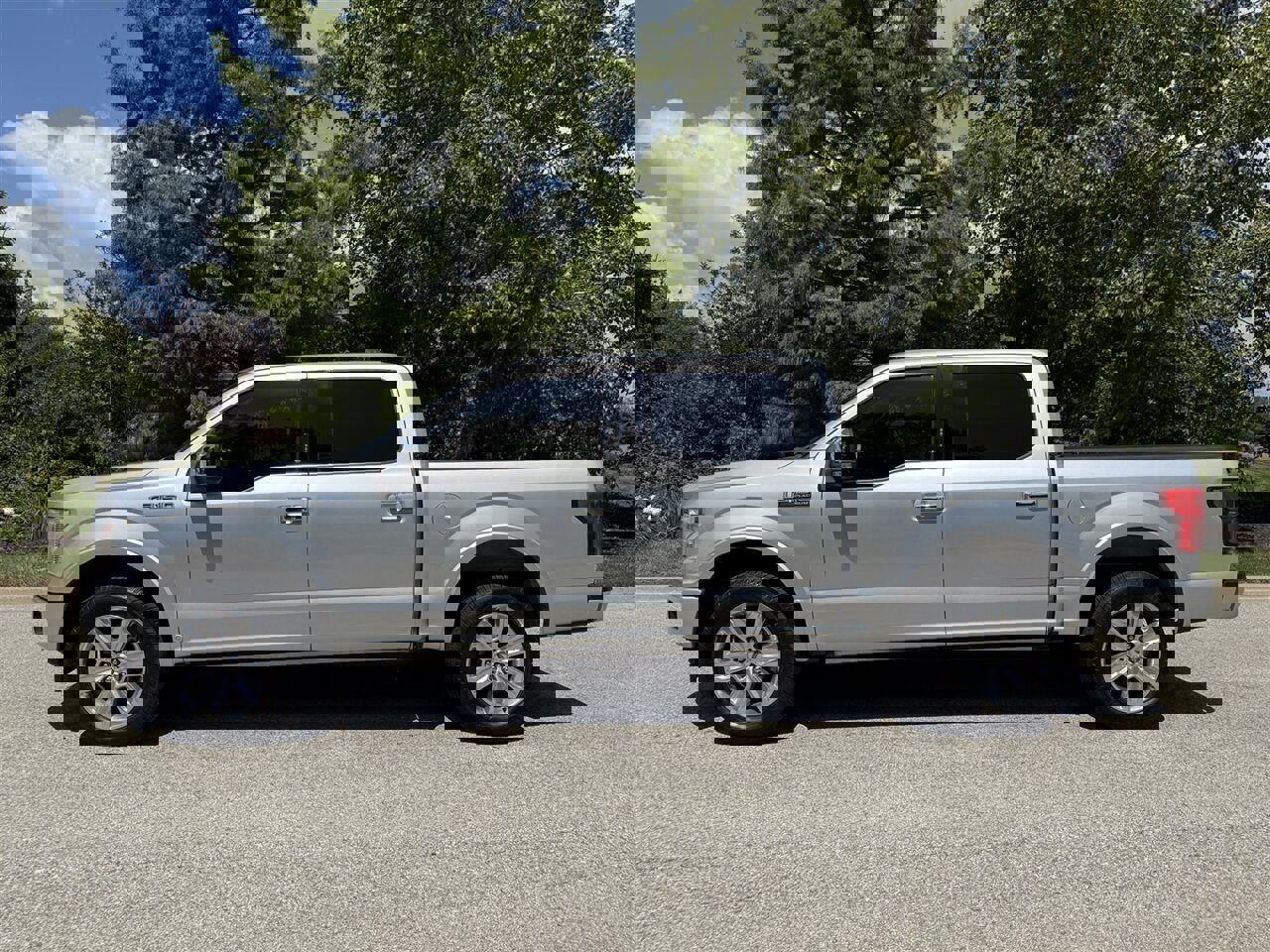 Used 2019 Ford F150 Platinum w/ Equipment Group 701A Luxury image 3