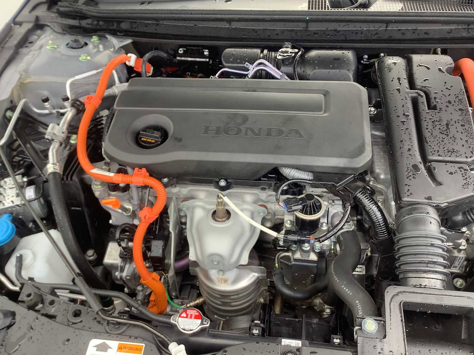 Used 2025 Honda Accord EX-L image 10