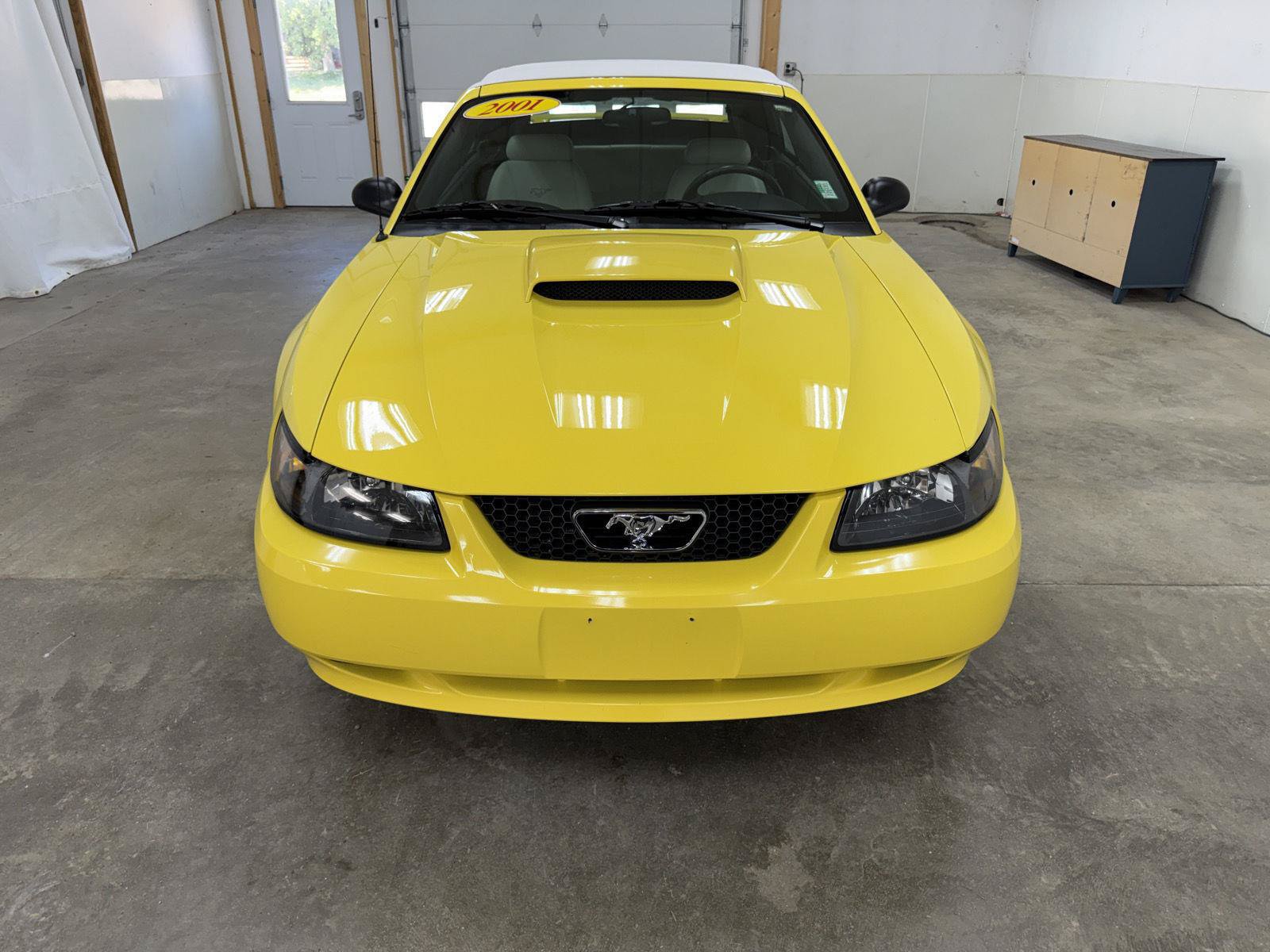 Used 2001 Ford Mustang GT Premium RWD image 3