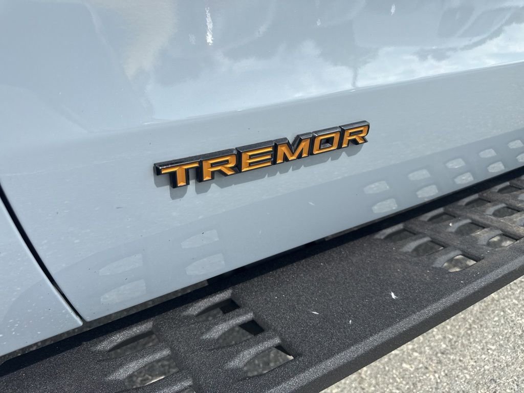 Used 2025 Ford Expedition Tremor AWD/4WD image 36