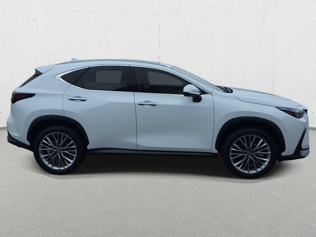 New 2026 Lexus NX 350 AWD w/ Accessory Package (2T) image 4