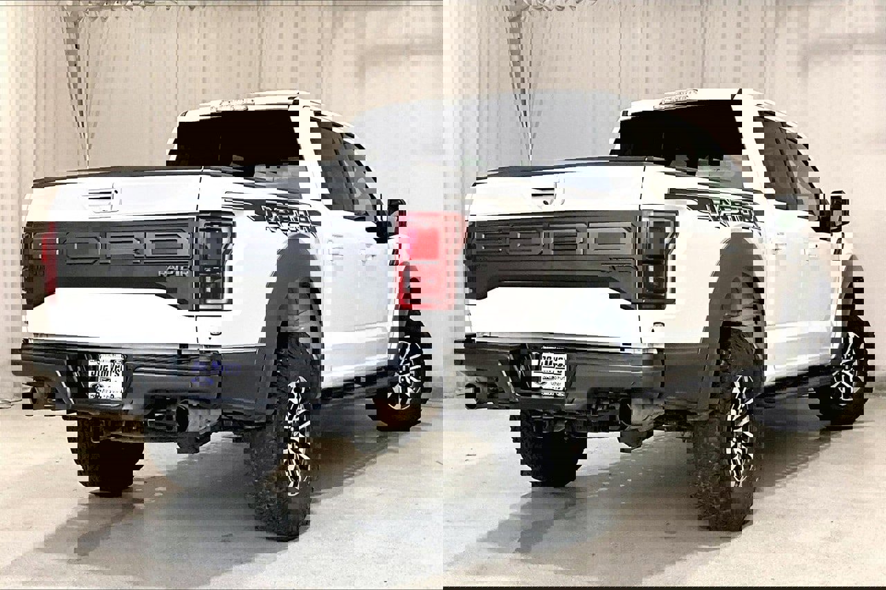 Used 2019 Ford F150 Raptor w/ Equipment Group 802A Luxury image 13