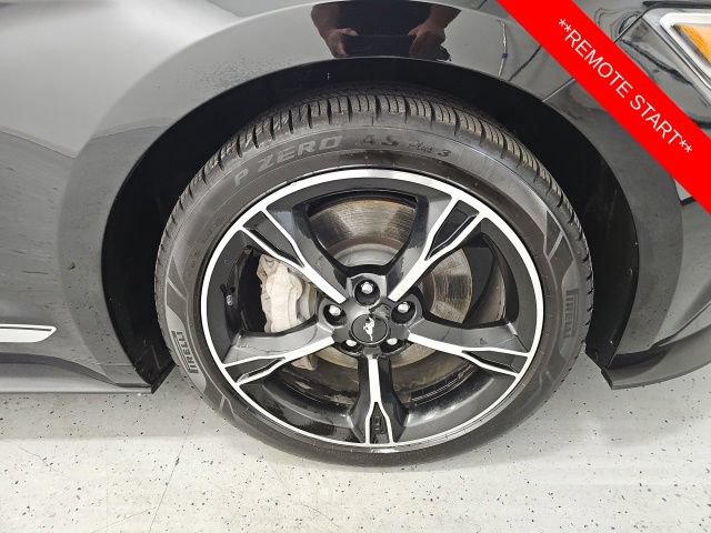 Used 2016 Ford Mustang GT Premium w/ Equipment Group 401A RWD image 8