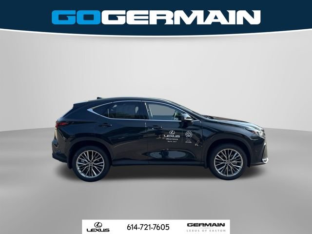 New 2025 Lexus NX 300h 350h Luxury image 7