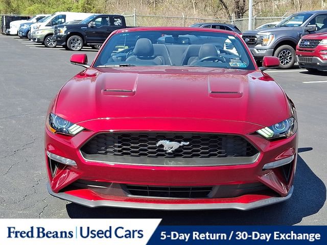 Certified 2019 Ford Mustang Convertible w/ Equipment Group 101A image 3