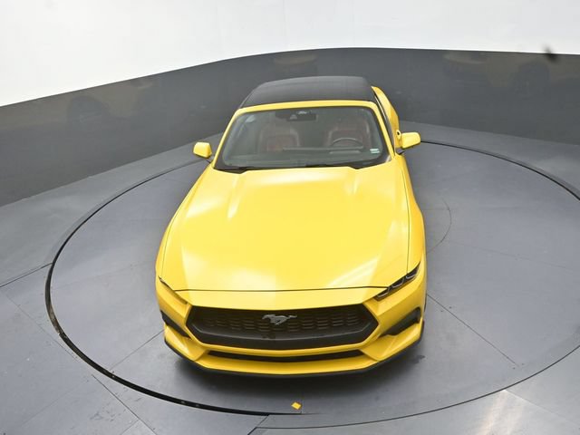 Used 2024 Ford Mustang Premium RWD image 13