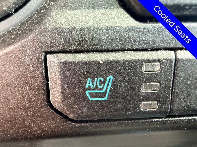 Used 2017 Ford F150 Raptor w/ Equipment Group 802A Luxury image 5