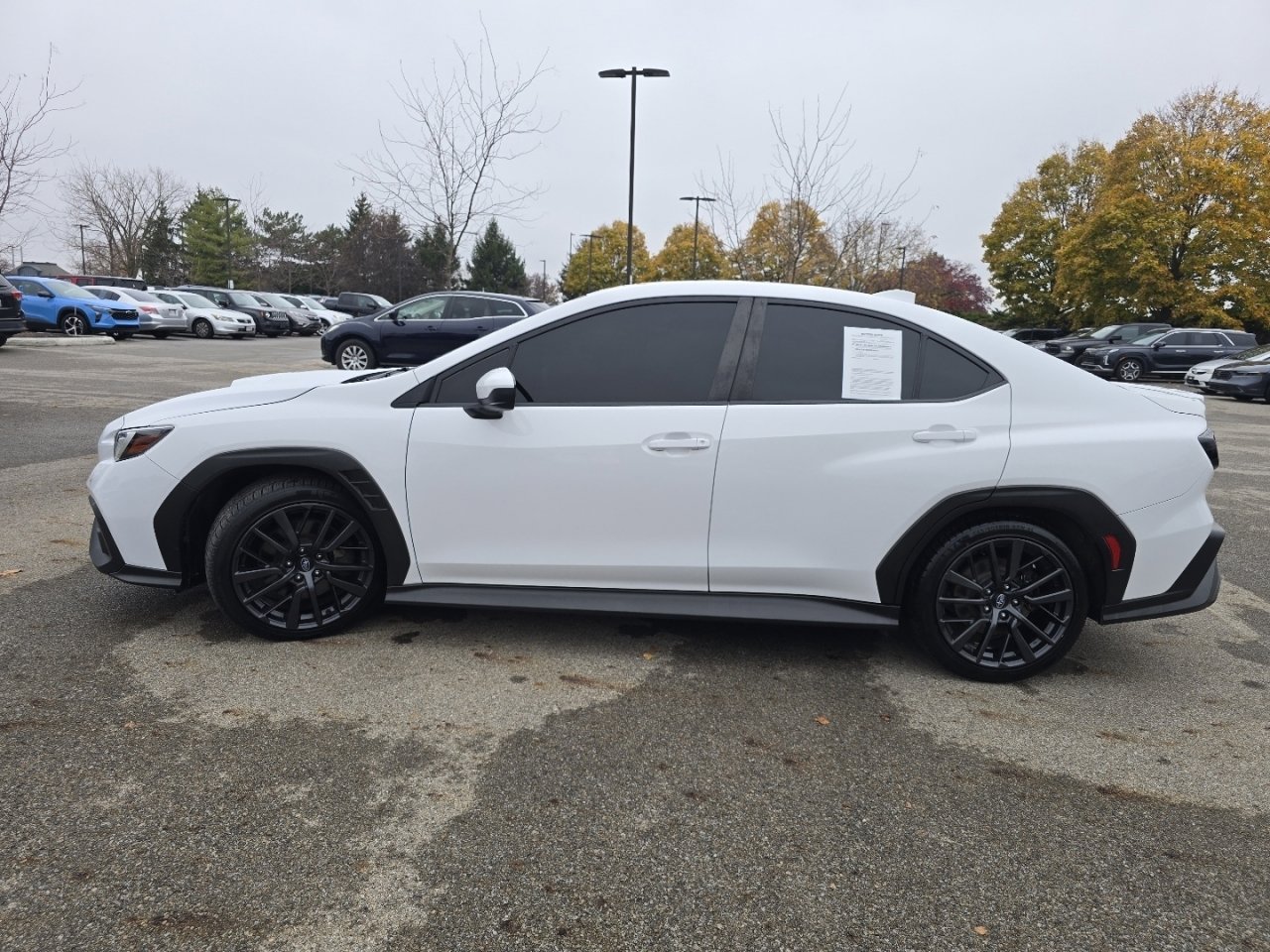 Used 2022 Subaru WRX Premium image 13