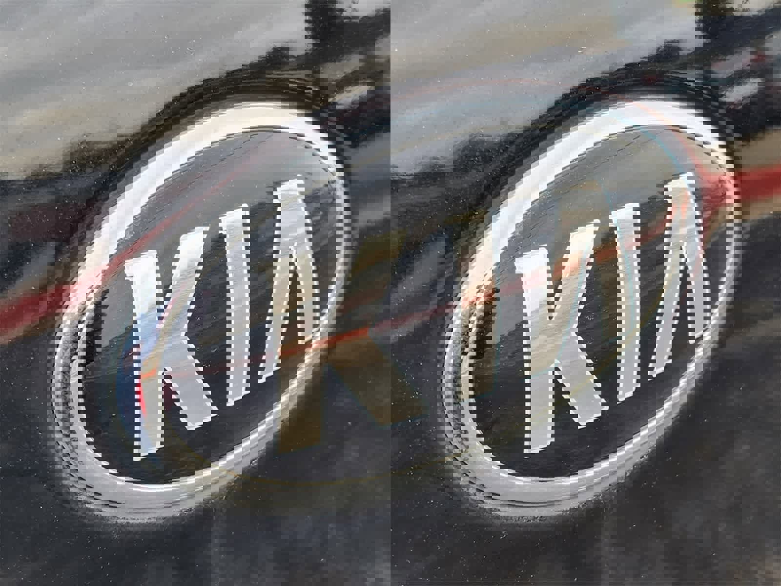 Used 2019 Kia Sedona EX image 11