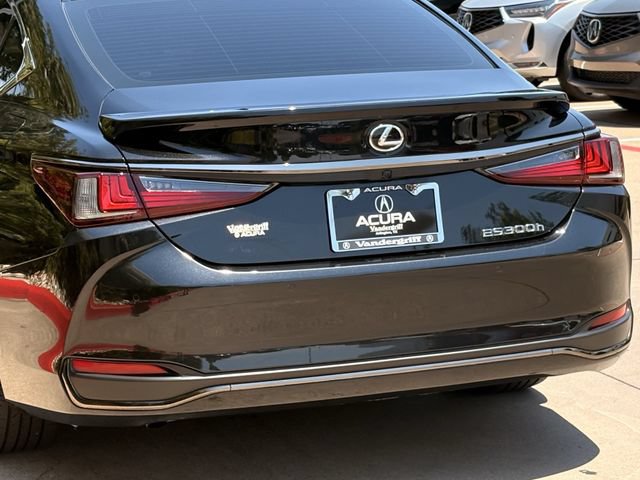 Used 2024 Lexus ES 300h F Sport w/ Accessory Package (Z1) FWD image 6