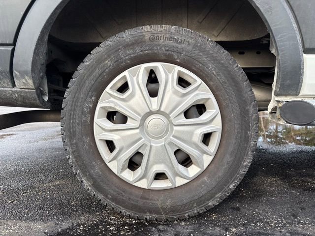 Used 2024 Ford Transit 250 Low Roof w/ Exterior Upgrade Package image 19
