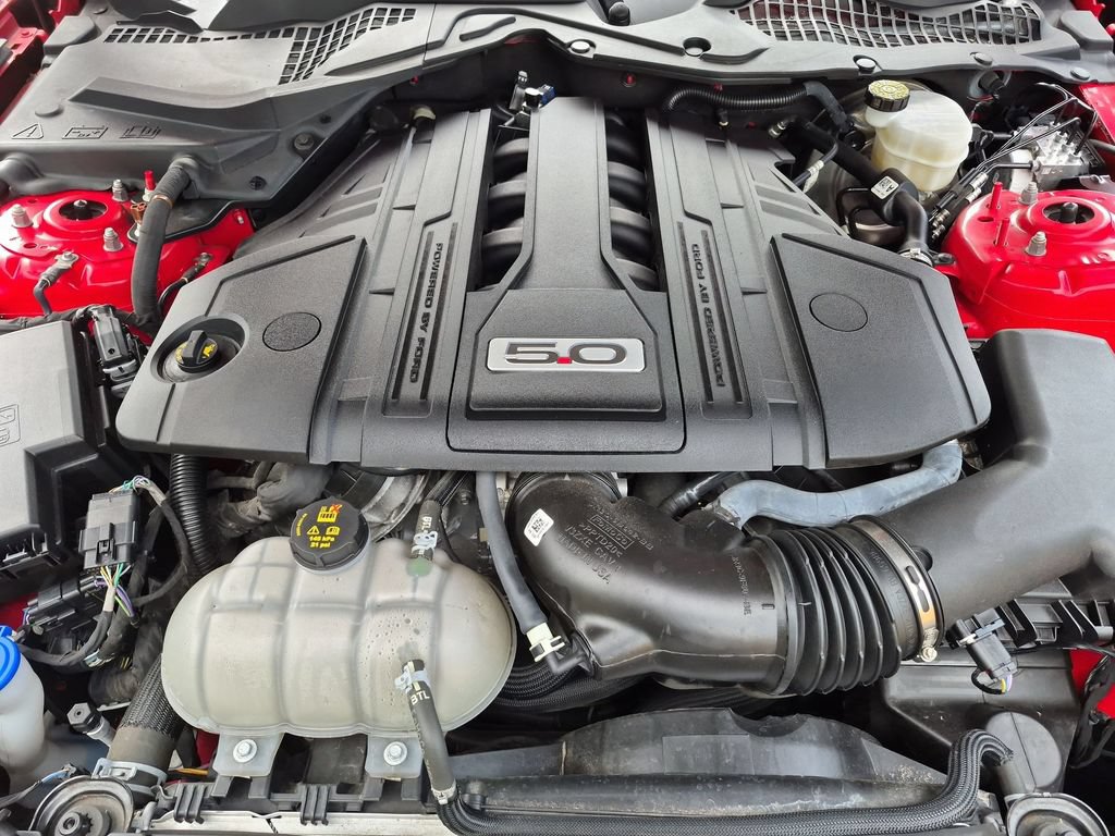 Certified 2021 Ford Mustang GT w/ Equipment Group 301A RWD image 36