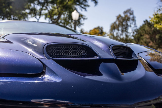 Used 2002 Pontiac Firebird Trans Am RWD image 53