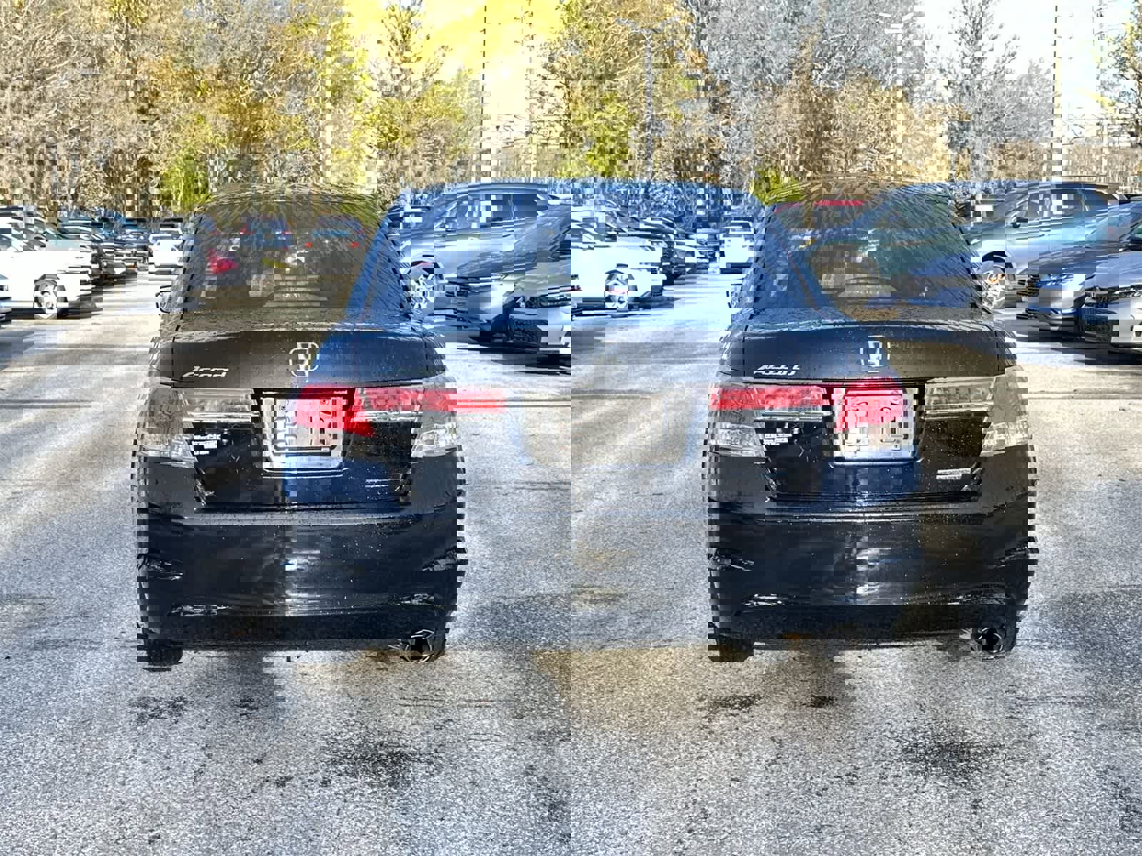 Used 2012 Honda Accord SE image 5