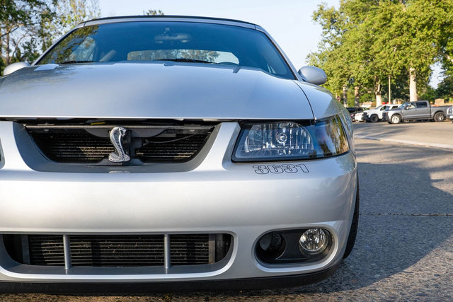 Used 2003 Ford Mustang Cobra RWD image 78