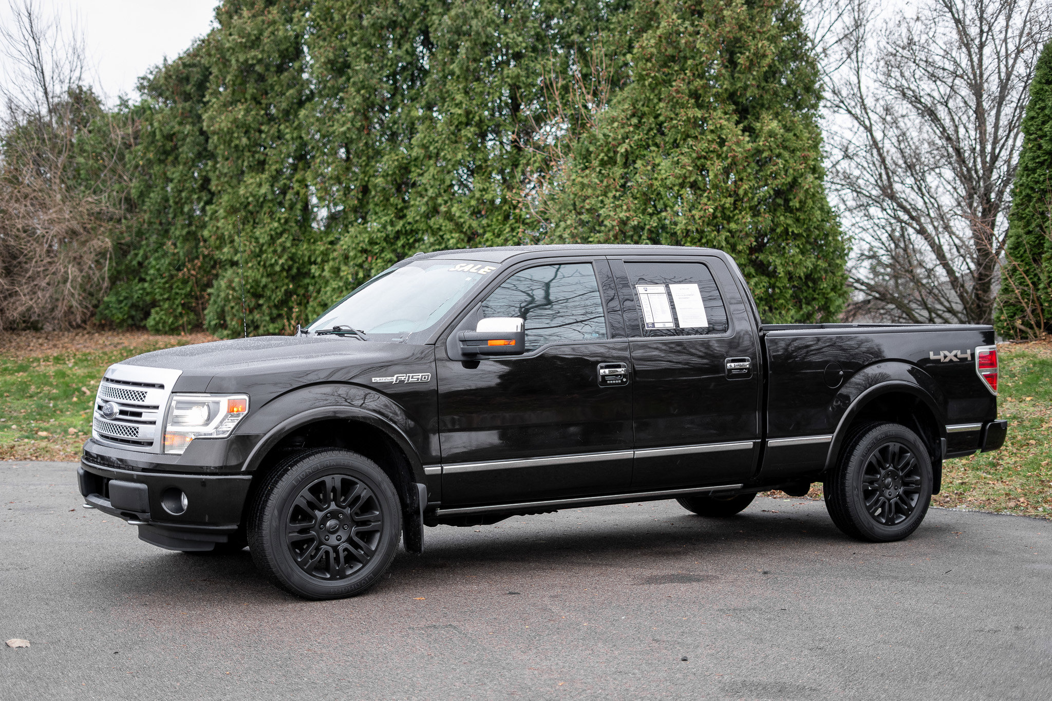 Used 2014 Ford F150 Platinum image 9