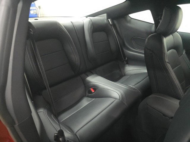 Used 2024 Ford Mustang Premium image 5