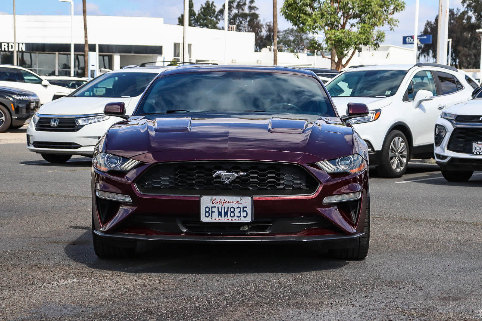 Used 2018 Ford Mustang Coupe RWD image 2