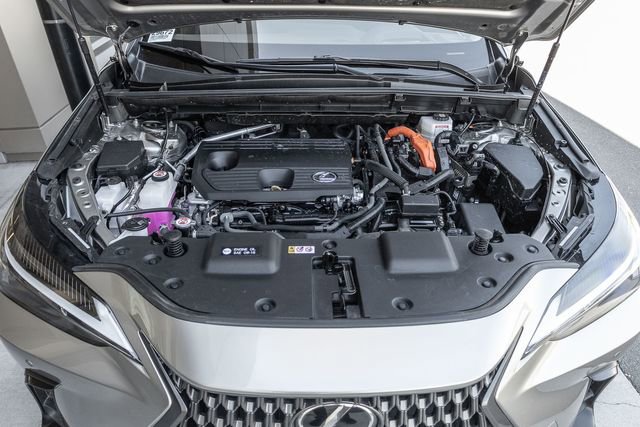Used 2025 Lexus NX 350h AWD w/ Cold Area Package image 16