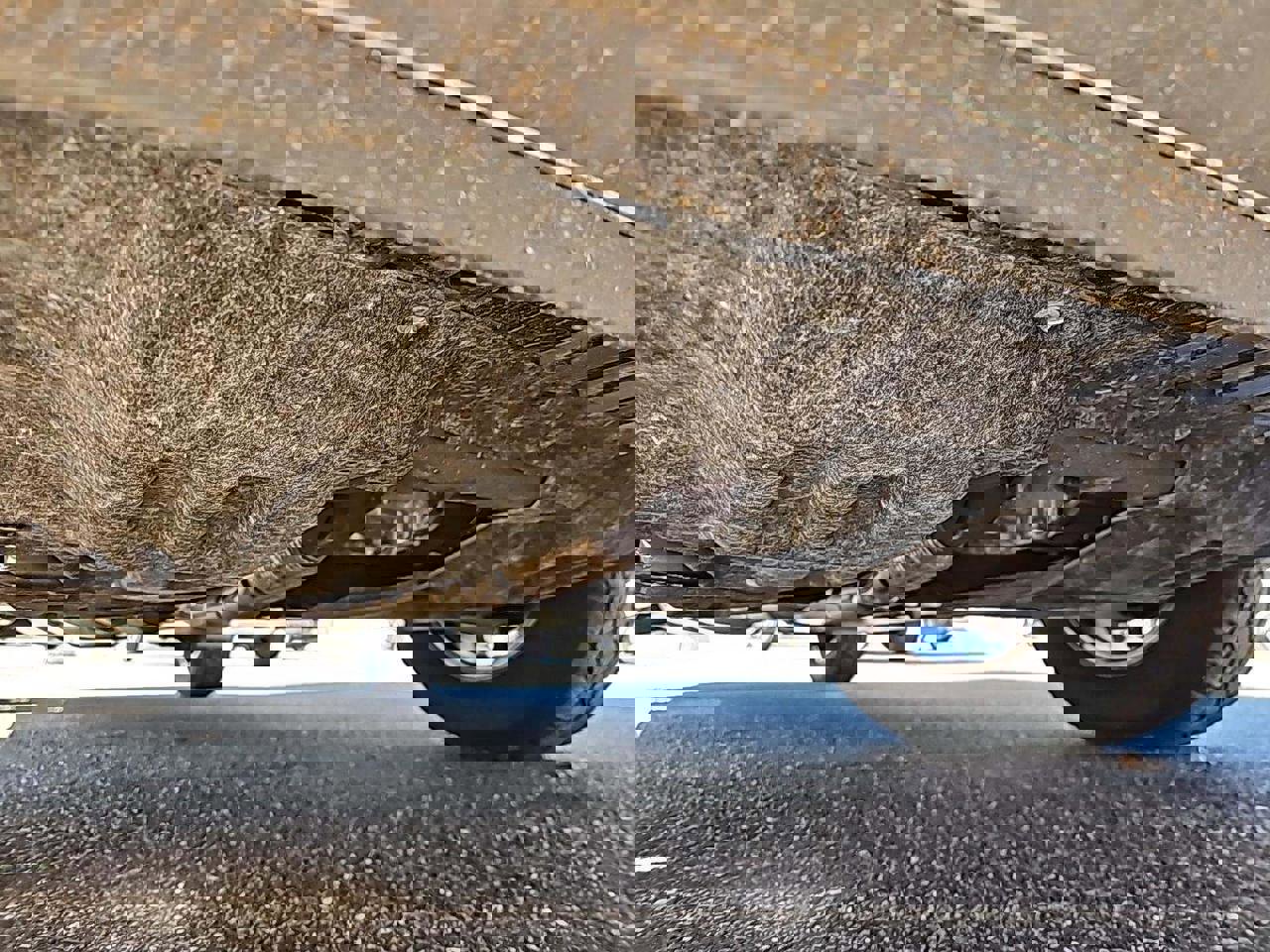 Used 2023 Nissan Pathfinder Rock Creek image 57