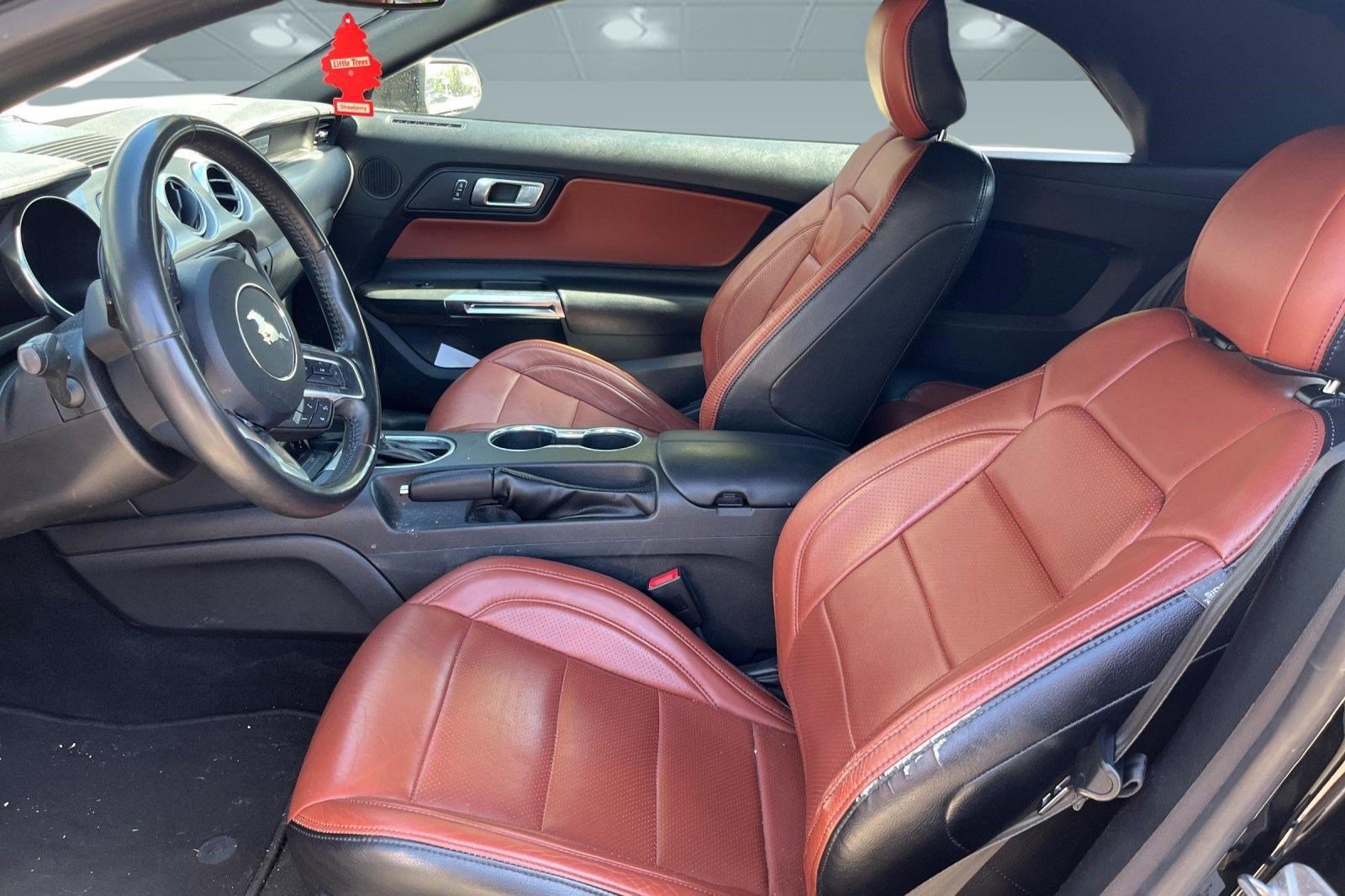 Used 2019 Ford Mustang Convertible w/ Equipment Group 101A RWD image 3
