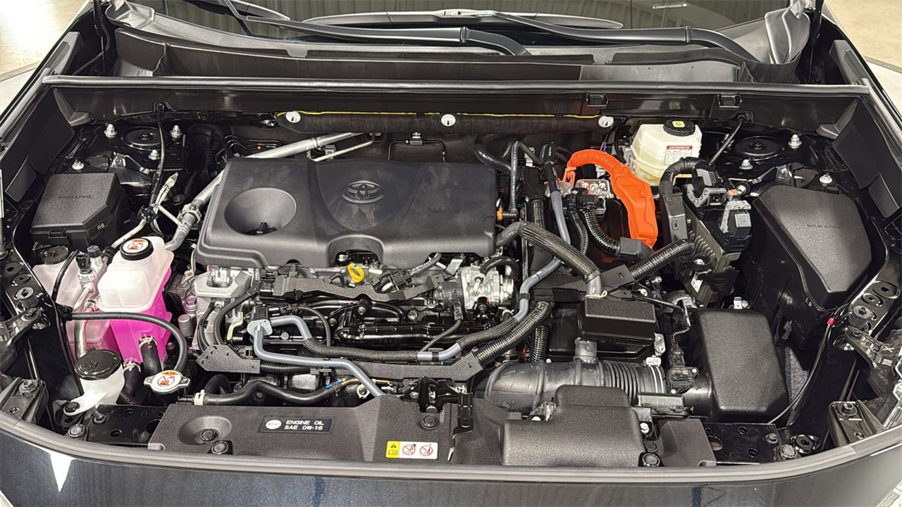 Certified 2025 Toyota RAV4 LE image 25