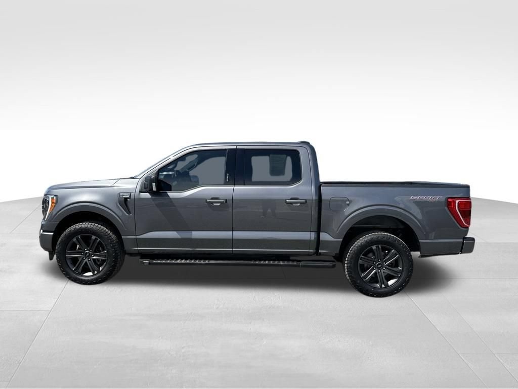 Used 2023 Ford F150 XLT w/ Equipment Group 302A High AWD/4WD image 13