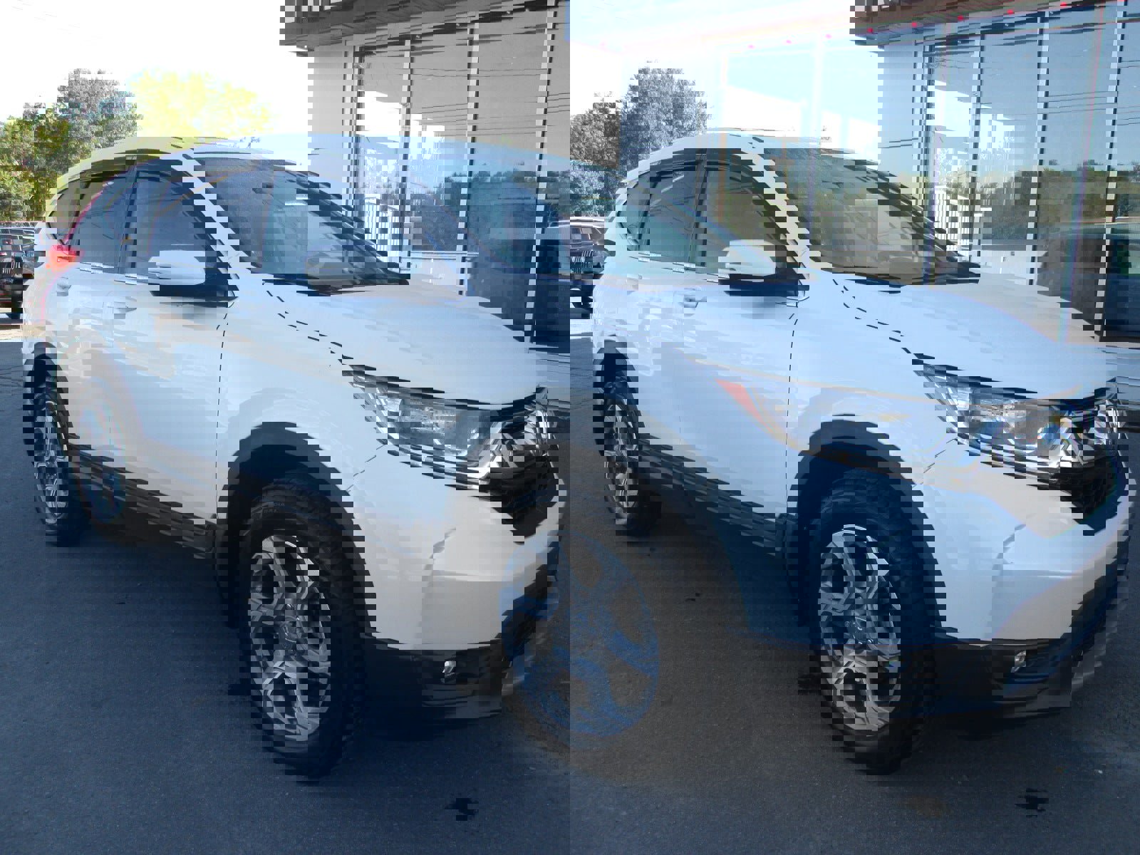 Used 2019 Honda CR-V EX-L image 7