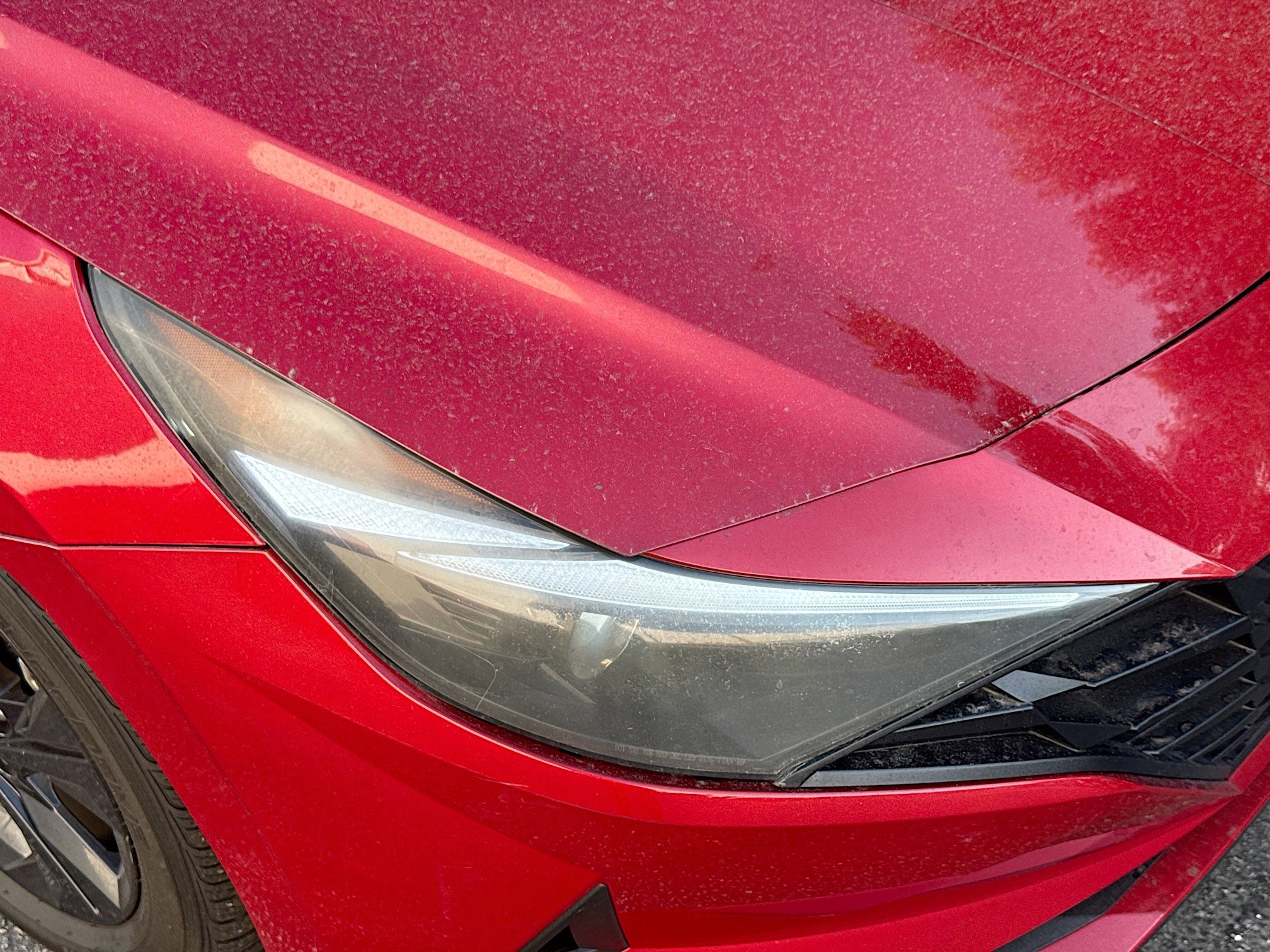 Used 2023 Hyundai Elantra SEL image 31