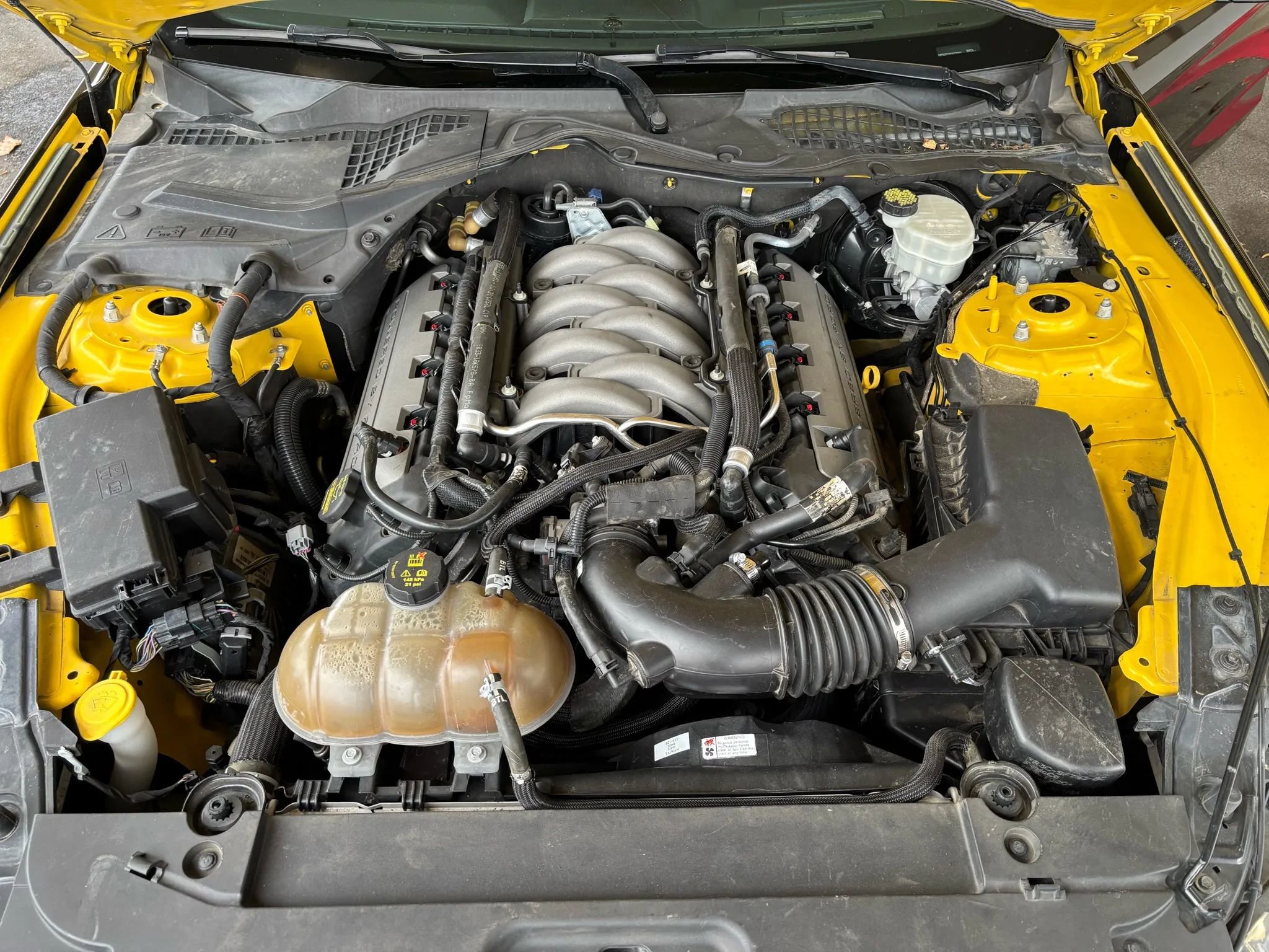 Used 2015 Ford Mustang GT Premium w/ 50 Years Appearance Package image 9