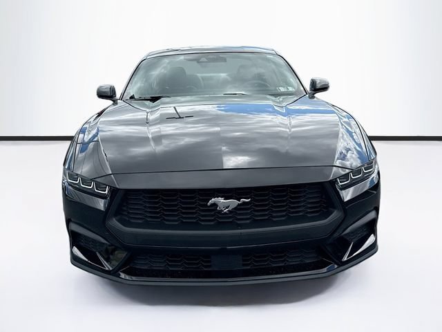 Used 2024 Ford Mustang Premium RWD image 2