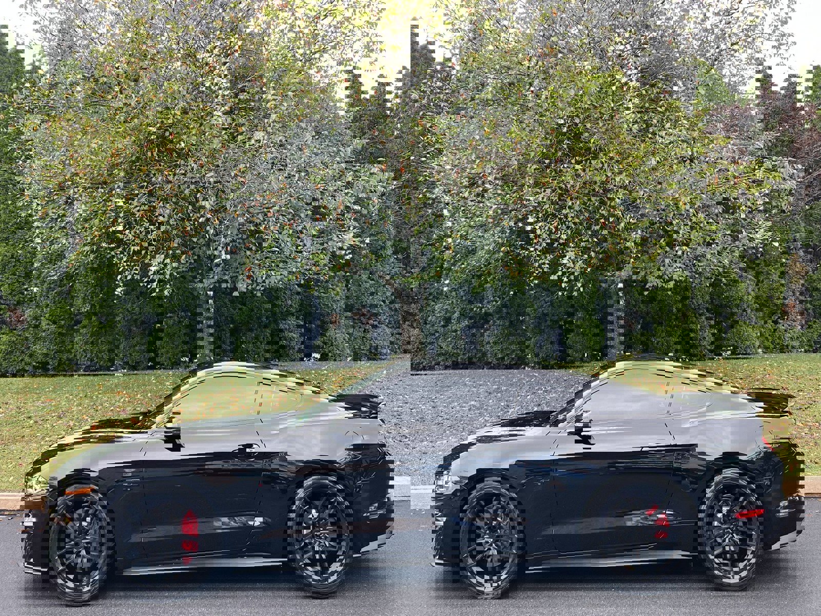 Used 2019 Ford Mustang GT Premium w/ Enhanced Security Package image 47