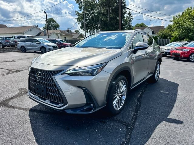 Used 2025 Lexus NX 350h AWD w/ Cold Area Package image 3