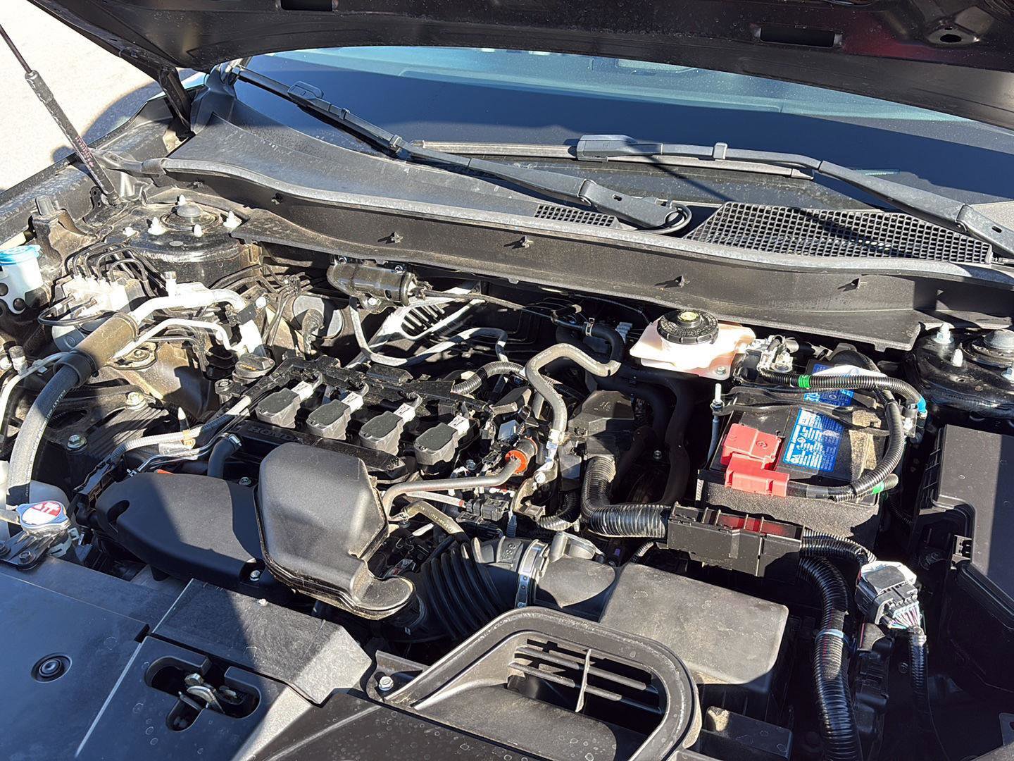 Used 2024 Honda CR-V EX-L image 5