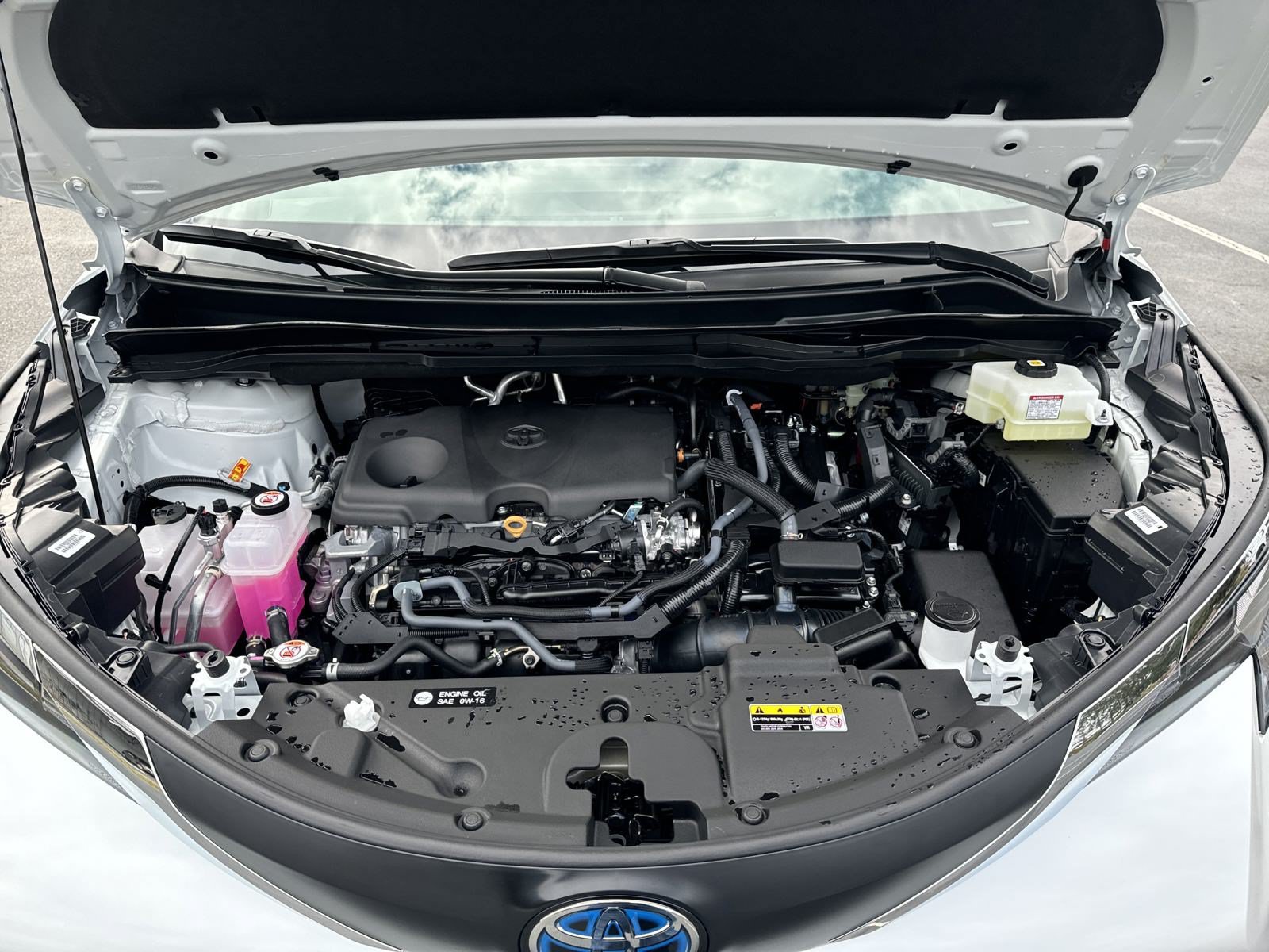 New 2025 Toyota Sienna XLE FWD image 41