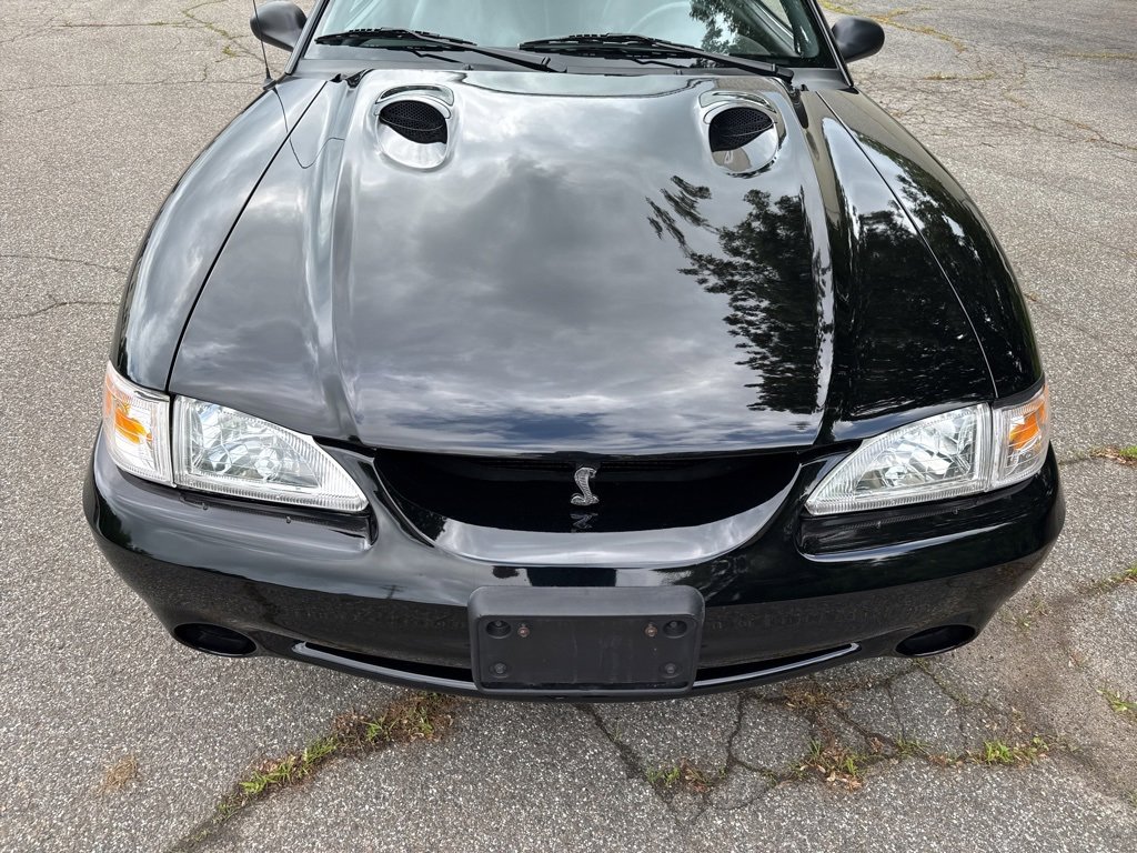 Used 1997 Ford Mustang Cobra image 6