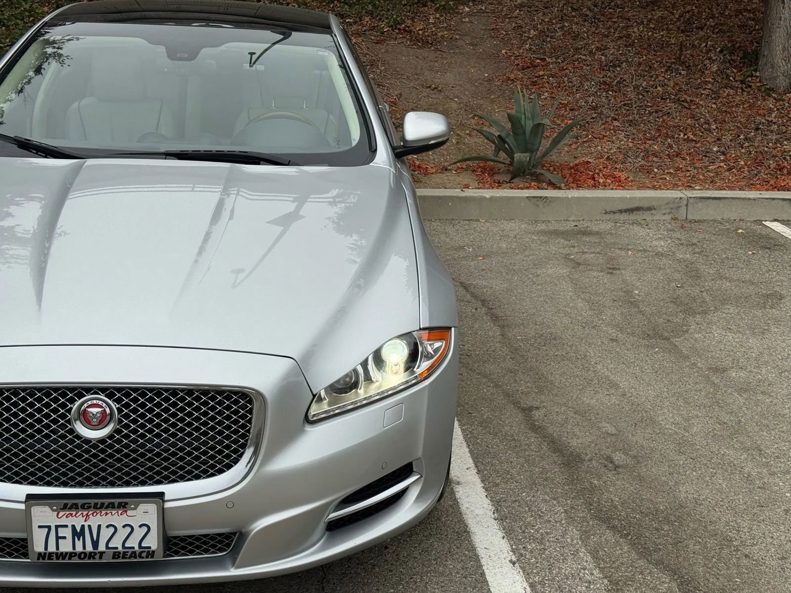 Used 2014 Jaguar XJ L Portfolio image 8
