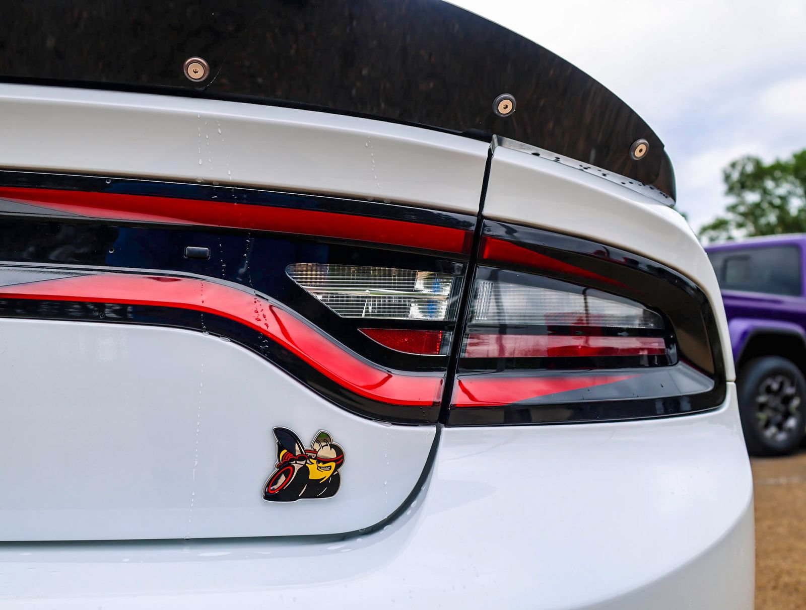 Used 2022 Dodge Charger Scat Pack RWD image 6