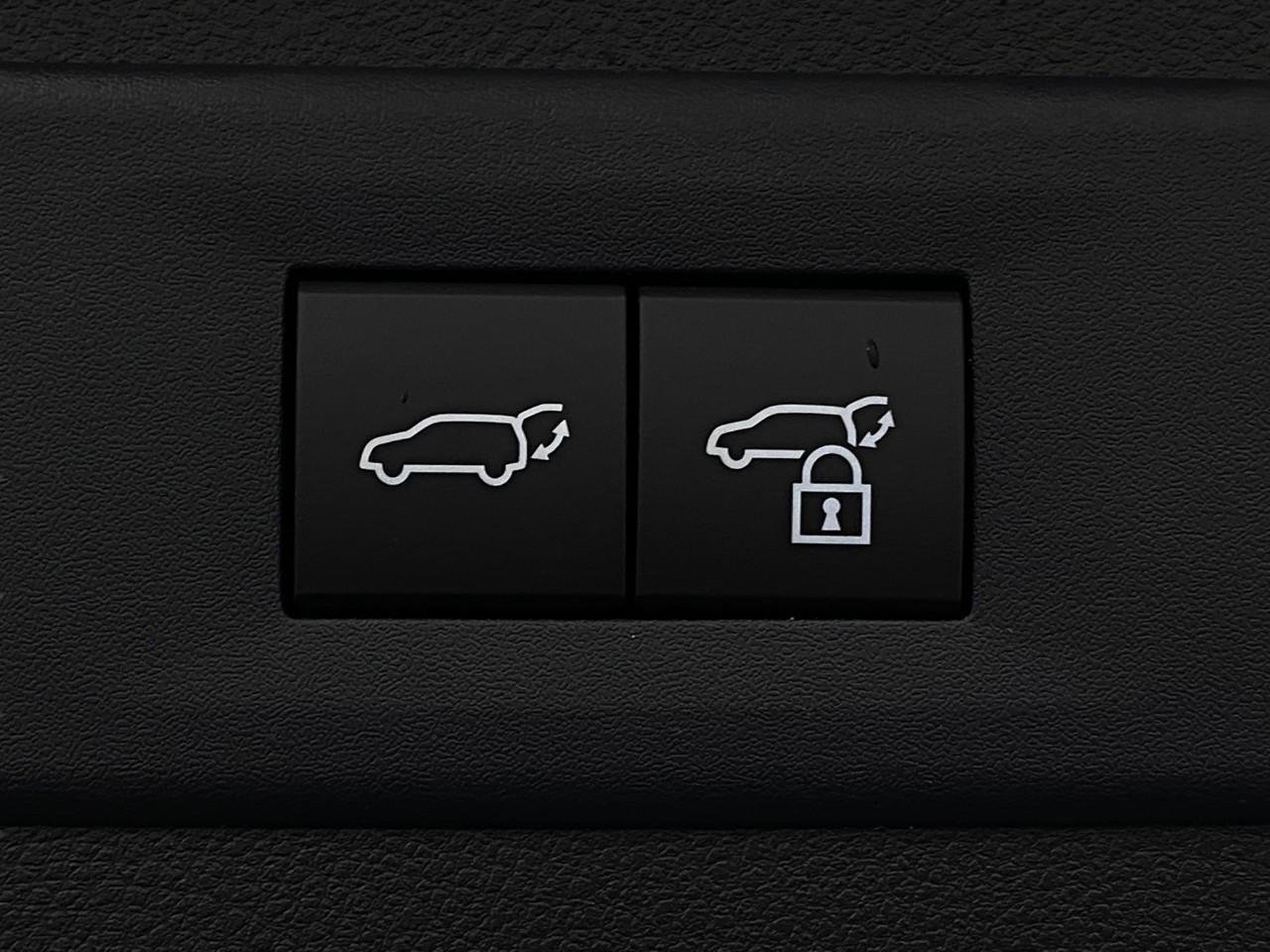 New 2025 Lexus NX 350 F Sport image 6