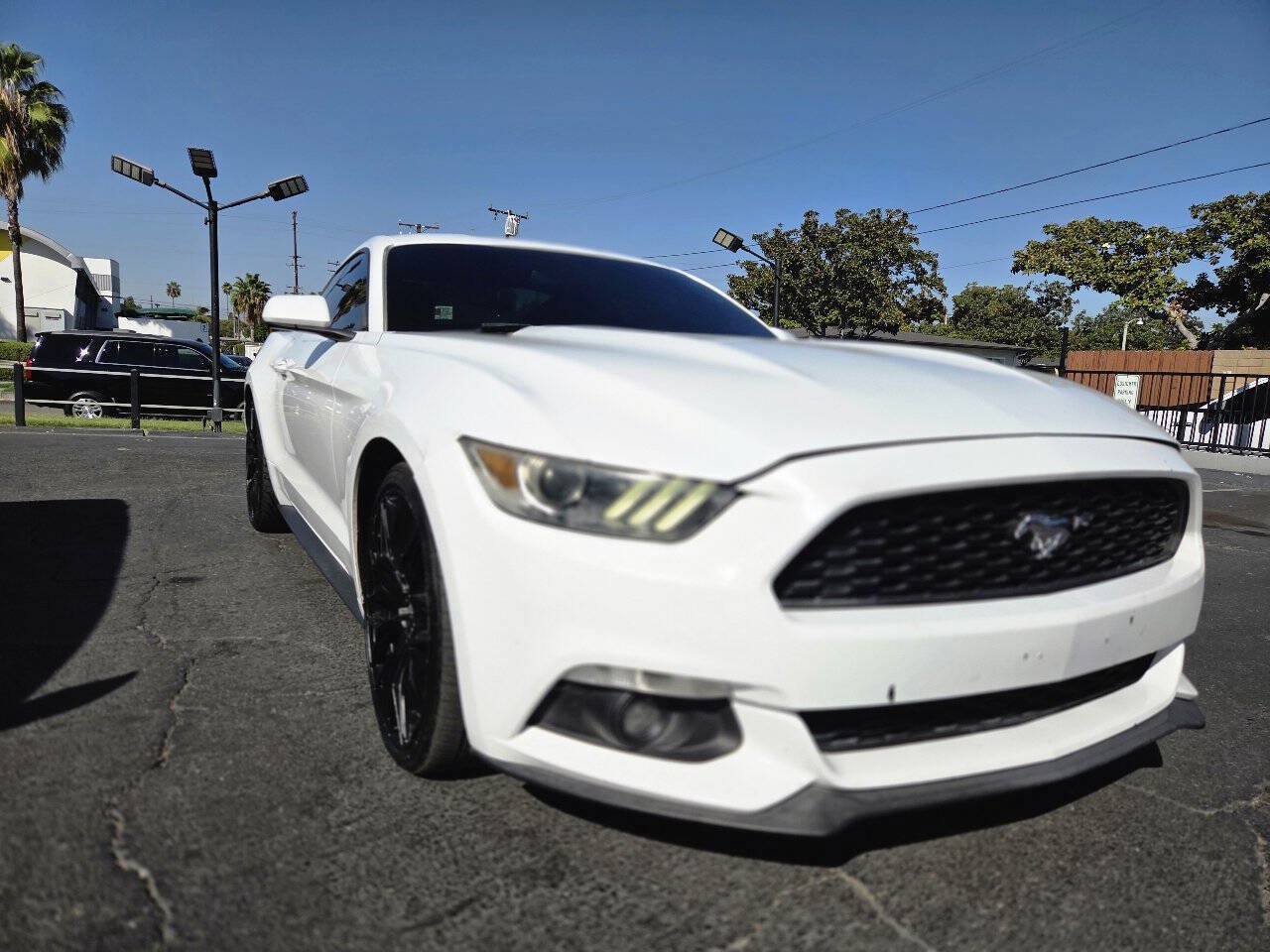 Used 2017 Ford Mustang Coupe w/ Interior & Wheel Package RWD image 5