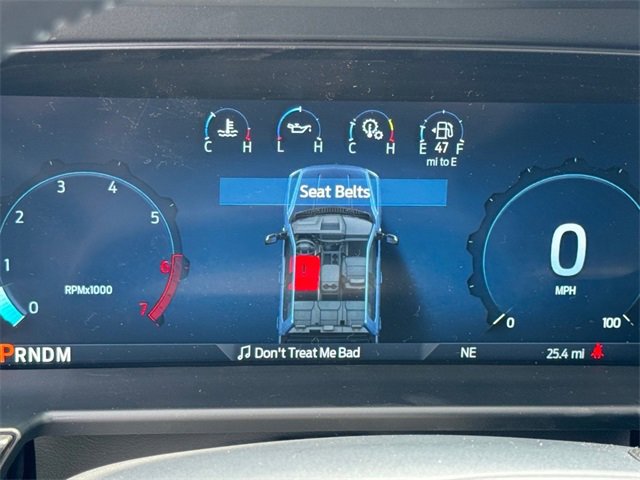 New 2025 Ford F350 Platinum w/ Tremor Off-Road Package image 21